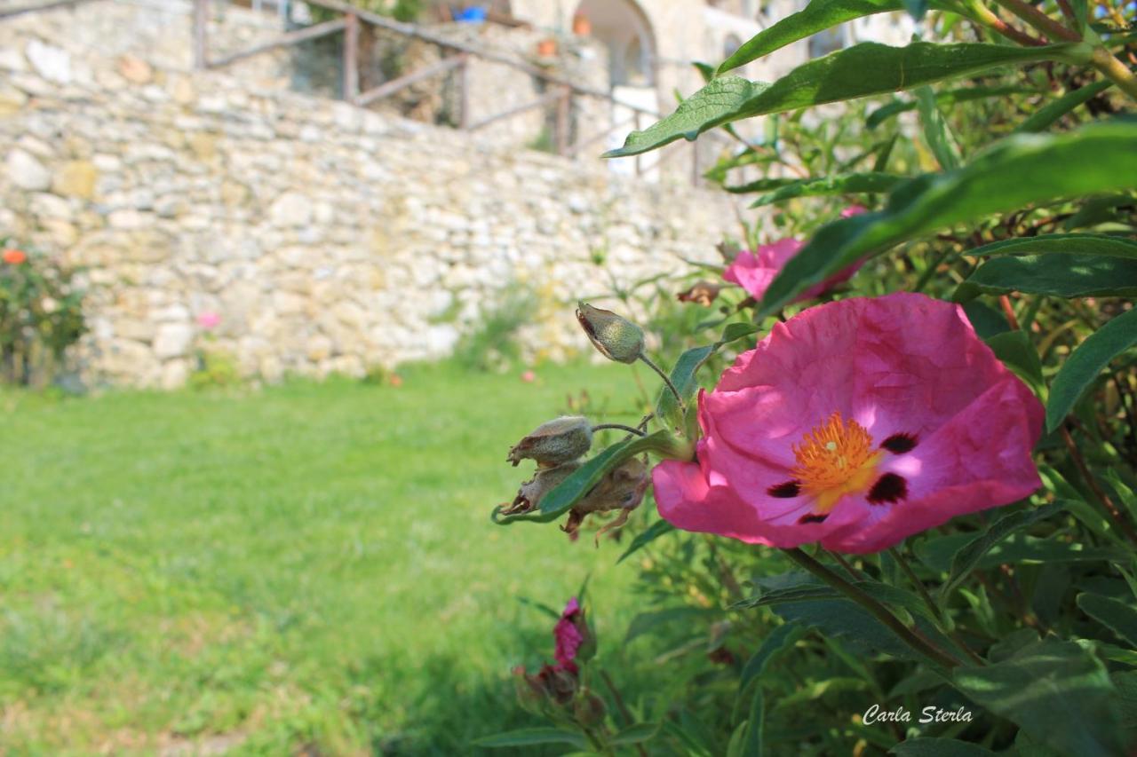 B&B Rubando Le Nuvole Orco Feglino Exteriér fotografie